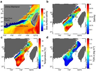 Nutrient depletion and phytoplankton shifts driven by the Pearl River plume in the Taiwan Strait